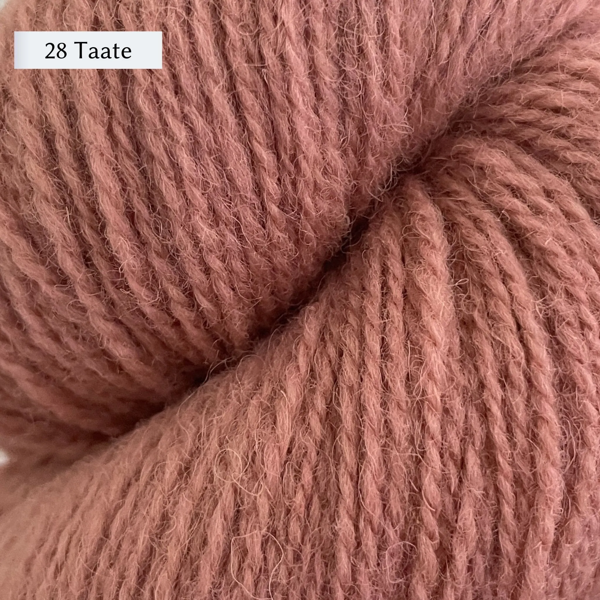 Tukuwool DK Yarn